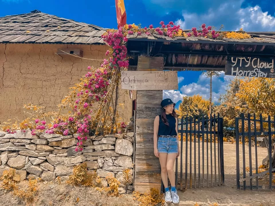 homestay y tý