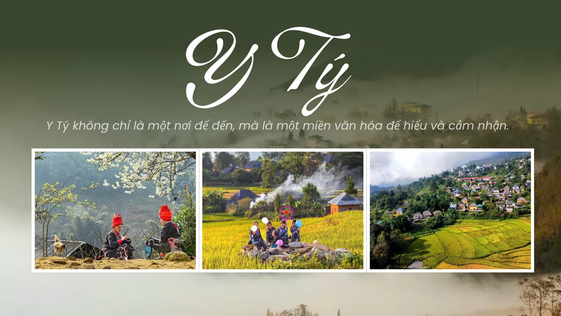 BẠN HIỂU Y TÝ?