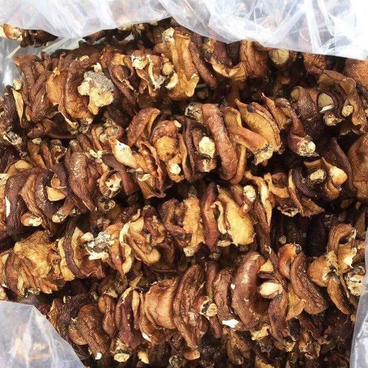 Nấm hương rừng Tây Bắc (1kg)