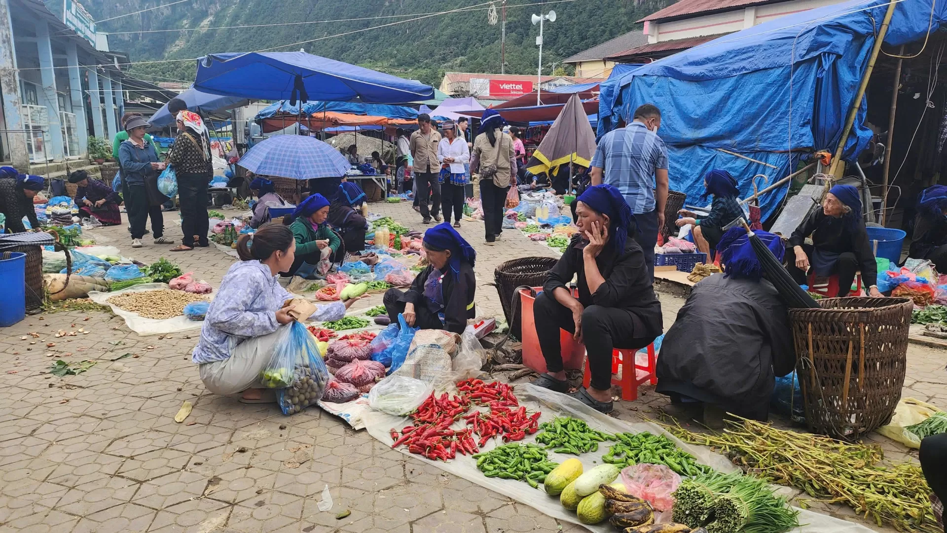 Nhịp sống Y Tý