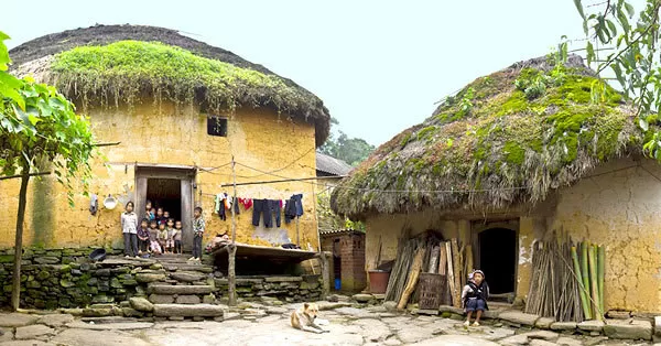 Nhà Trình tường