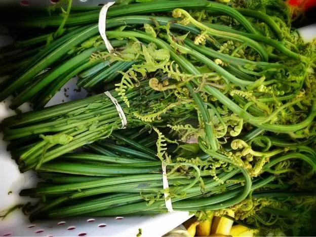 Rau rừng Y Tý (1kg)
